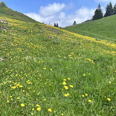 23-05-26 13-22-42 5697